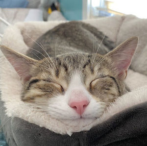 Meet your Posher, Andersyn